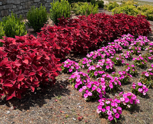 Flower beds - Landscaping