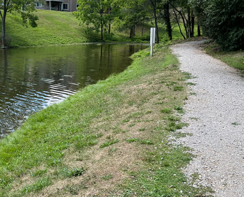 Gravel path at Magnolia_Tara Lake