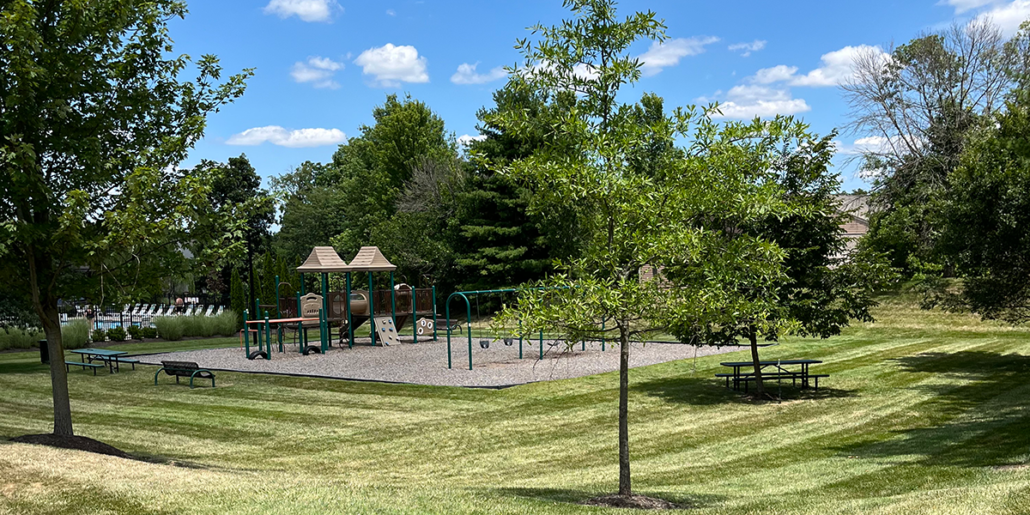 Playground on Wetherington at Magnolia Trace