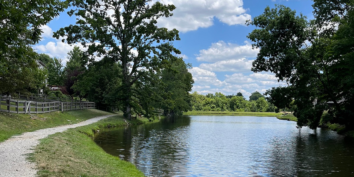 Magnolia_Tara Lake path